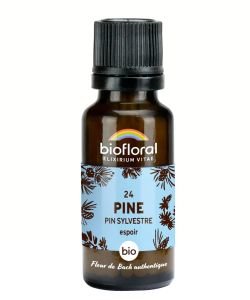 Pin sylvestre - Pine (n°24), granules sans alcool